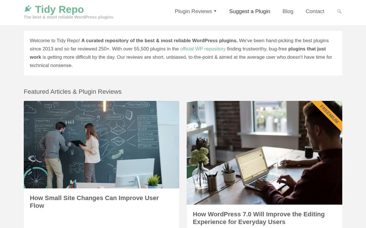 Homepage of Tidy Repo (tidyrepo.com)